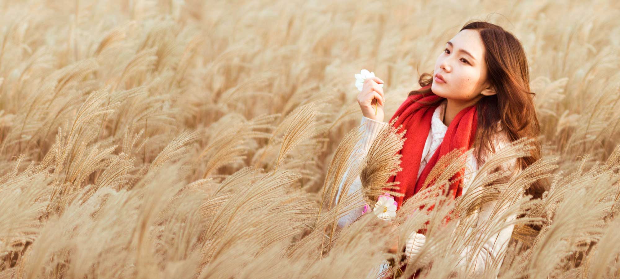 Cool Slider to highlight Some Posts Cool Slider to highlight Some Posts